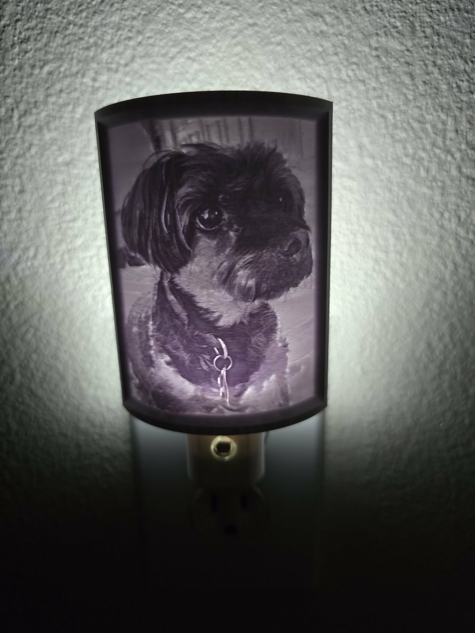 Custom photo night light - Pets